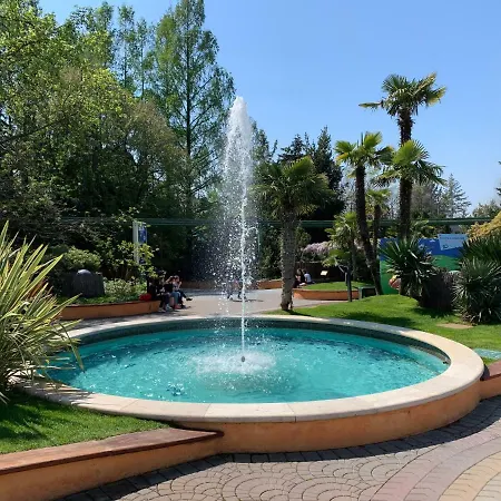 Mimosa Lazise